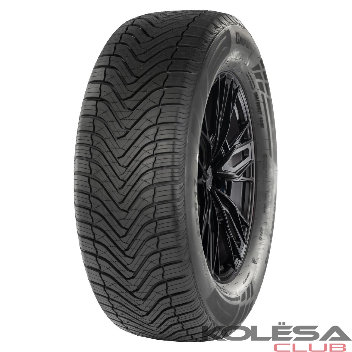 GRIPMAX SureGrip A/S Nano 205/55R17 95W XL BSW