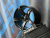 MS Wheels 507 9,5j-20 5*115 ET18 d71,5 MB передние