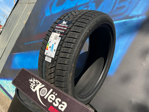 Arivo Winmaster ProX ARW5 245/40 R20 99V