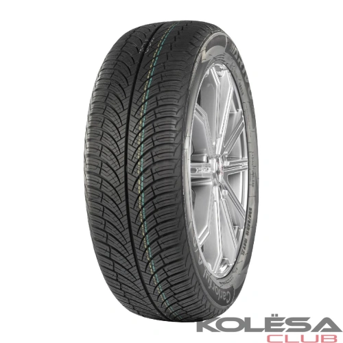 ARIVO Carlorful A/S 195/55R16 91V XL